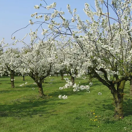 Premium-ferienhaus Gala Im Altes Land An Der Elbe Feriehus
